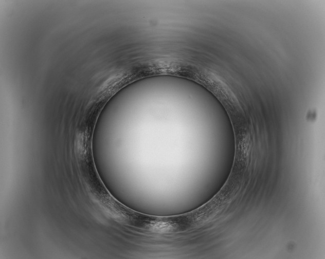 X0000096160218200801251135