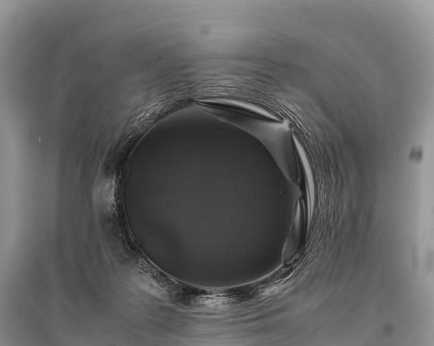 X0000096160219200801251135