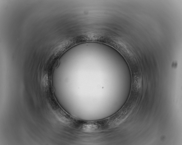 X0000096160220200801251135