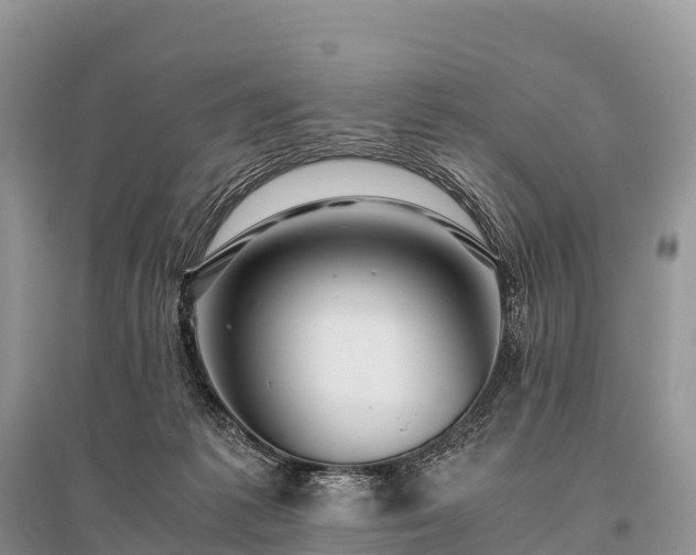 X0000096160221200801251135