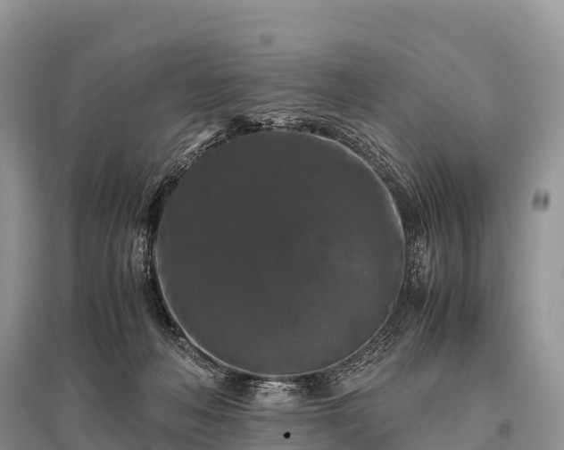 X0000096160222200801251135