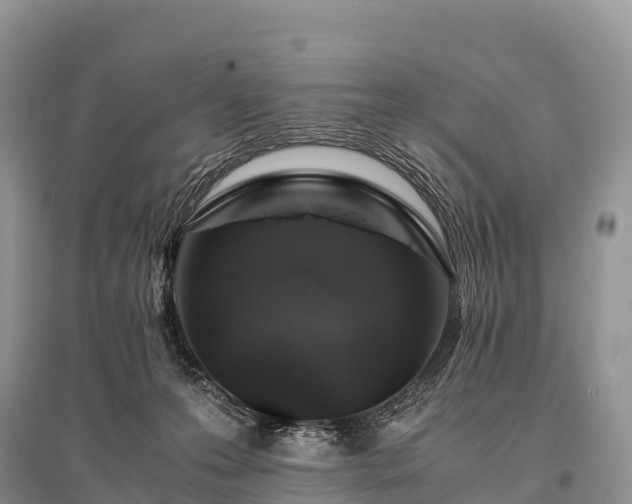 X0000096160223200801251135