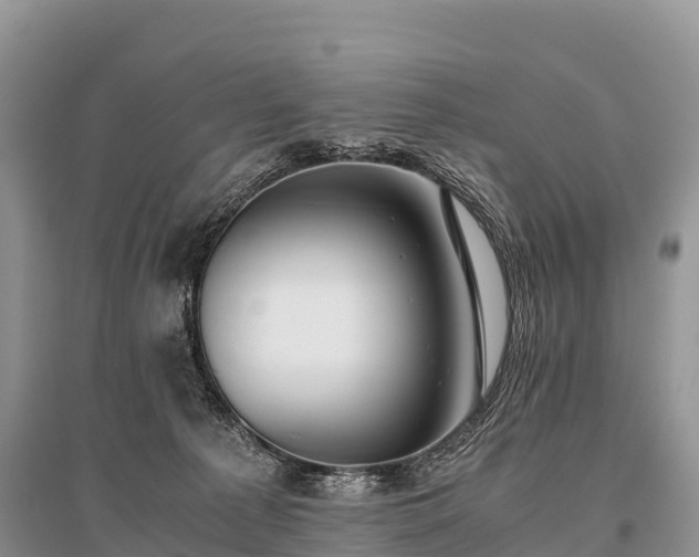 X0000096160225200801251135