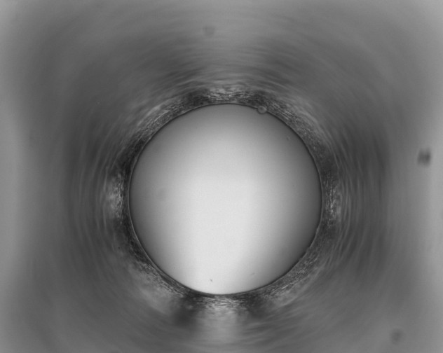 X0000096160226200801251135