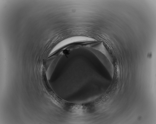 X0000096160227200801251135