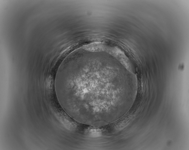 X0000096160228200801251135