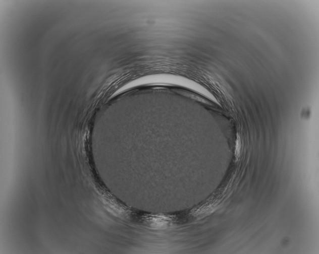 X0000096160229200801251135