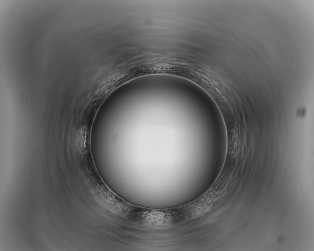 X0000096160230200801251135