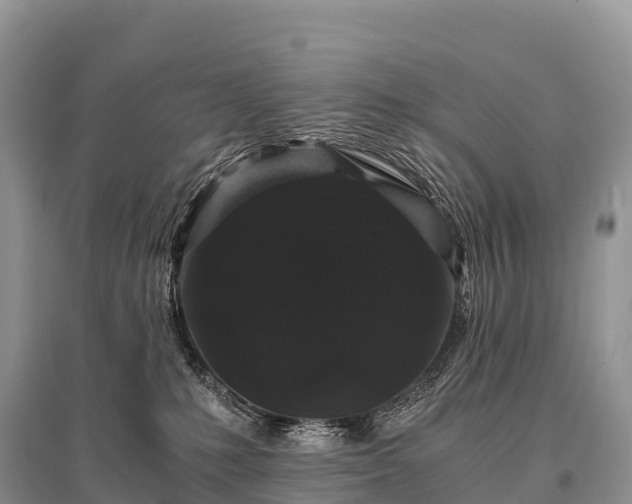 X0000096160231200801251135