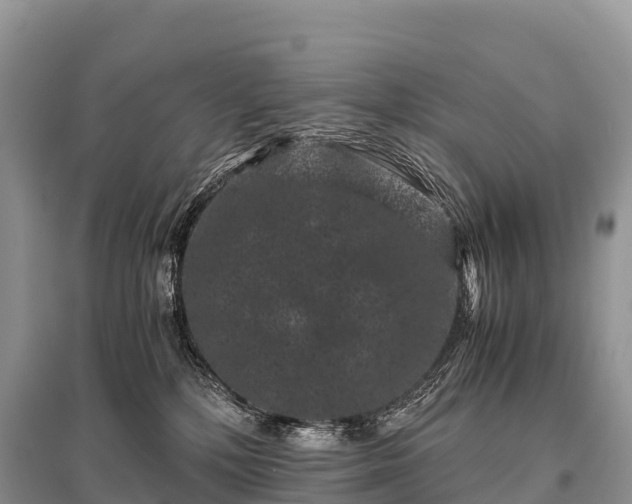 X0000096160232200801251135