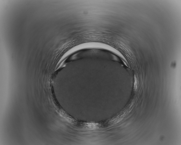 X0000096160233200801251135