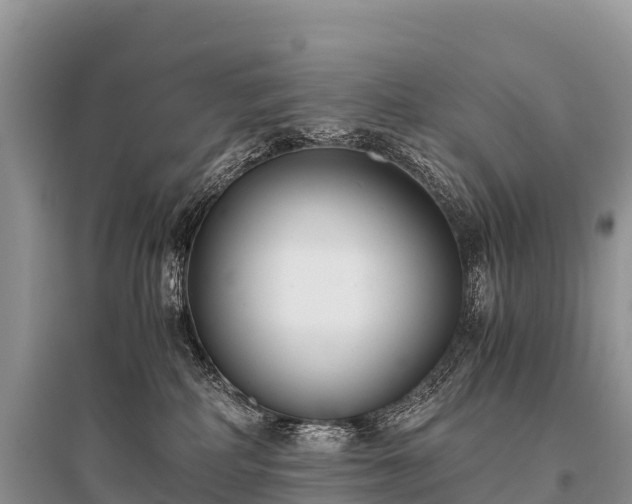 X0000096160234200801251135