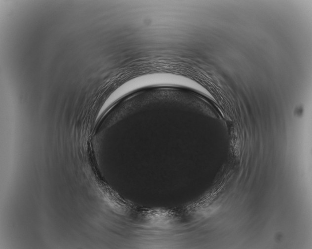 X0000096160235200801251135