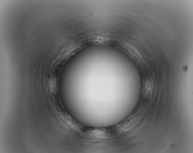 X0000096160236200801251135