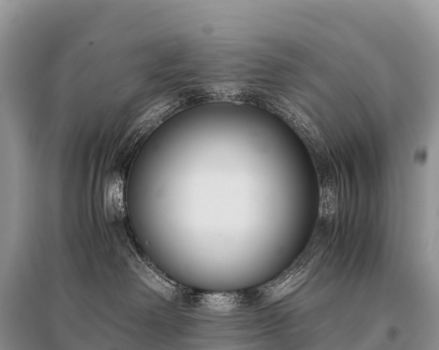 X0000096160238200801251135