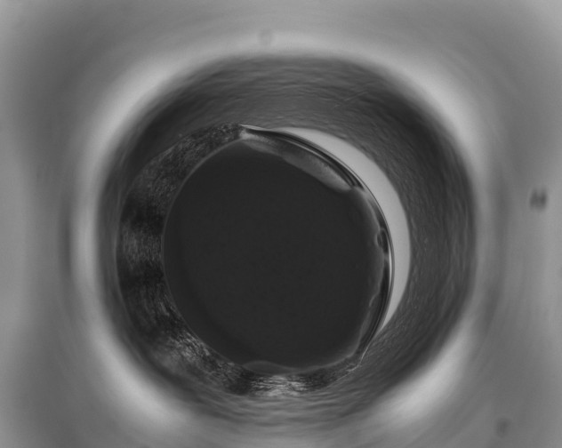 X0000096160239200801251135