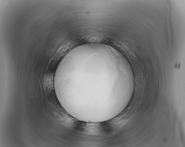 X0000096160240200801251134