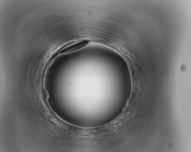 X0000096160241200801251134