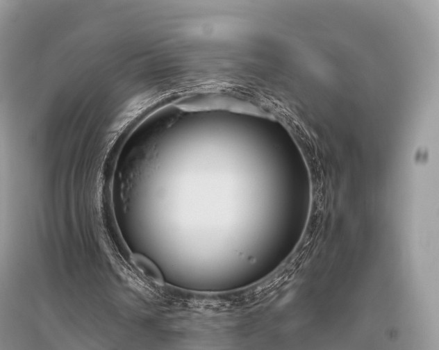 X0000096160242200801251134