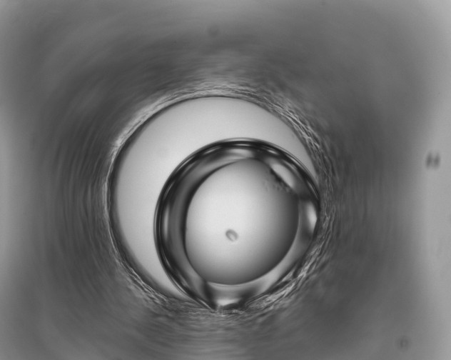 X0000096160244200801251134