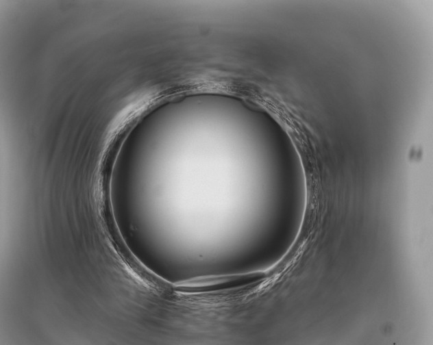 X0000096160245200801251134