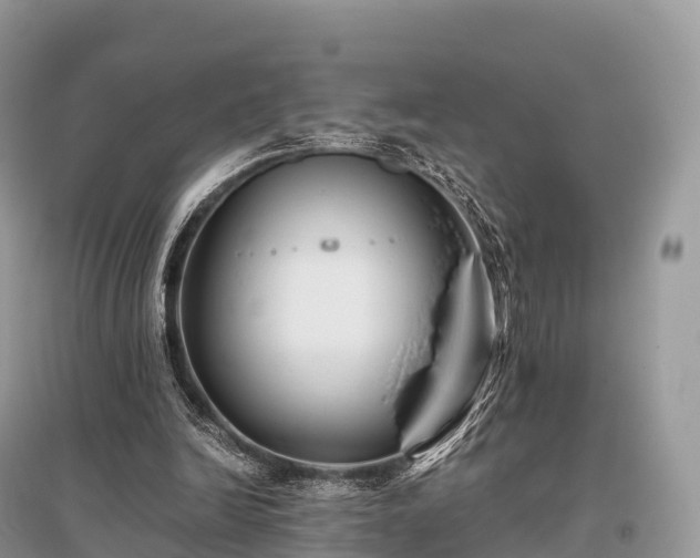 X0000096160246200801251134