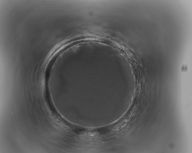 X0000096160247200801251134