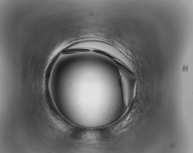 X0000096160248200801251134