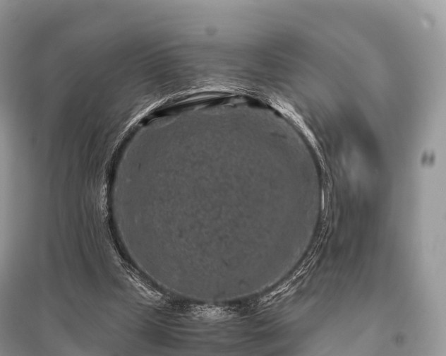 X0000096160249200801251134