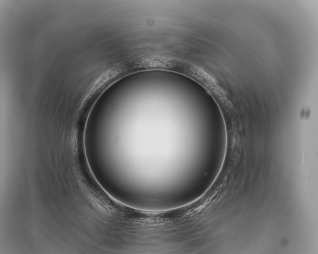 X0000096160250200801251134