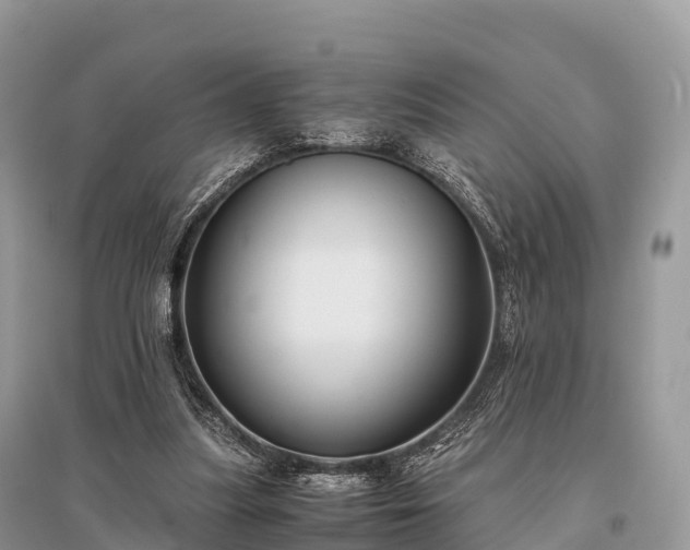 X0000096160251200801251134