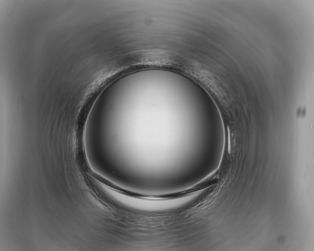 X0000096160252200801251134