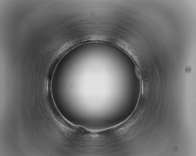 X0000096160253200801251134