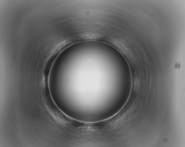 X0000096160254200801251134