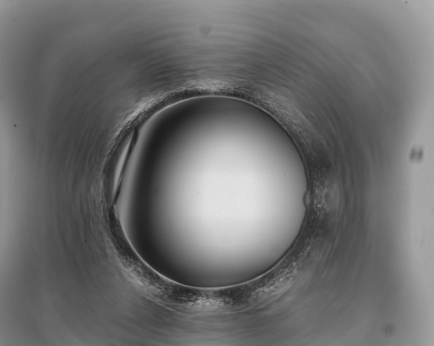 X0000096160256200801251134