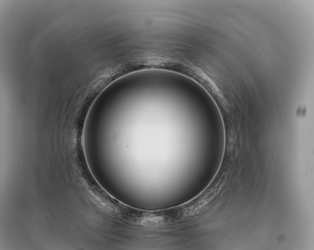 X0000096160257200801251134