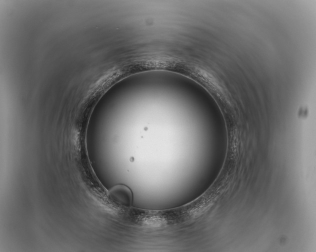 X0000096160258200801251134