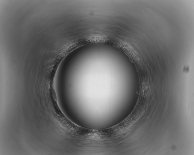 X0000096160259200801251134