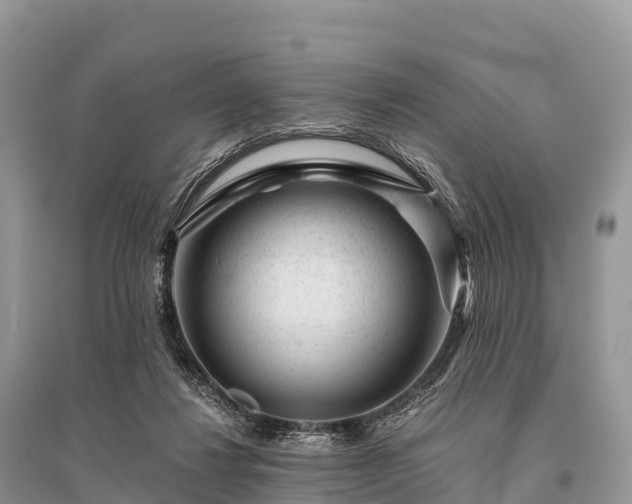 X0000096160260200801251134