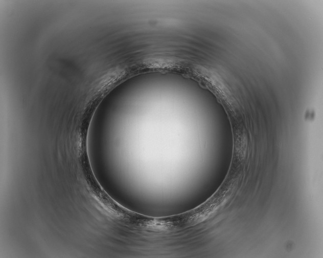 X0000096160261200801251134