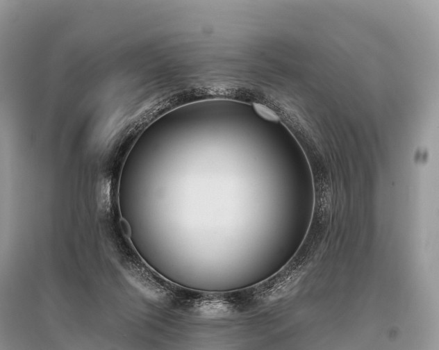 X0000096160262200801251134