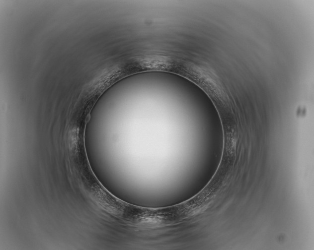 X0000096160263200801251134