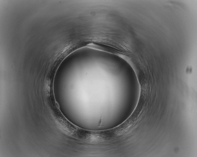 X0000096160264200801251134