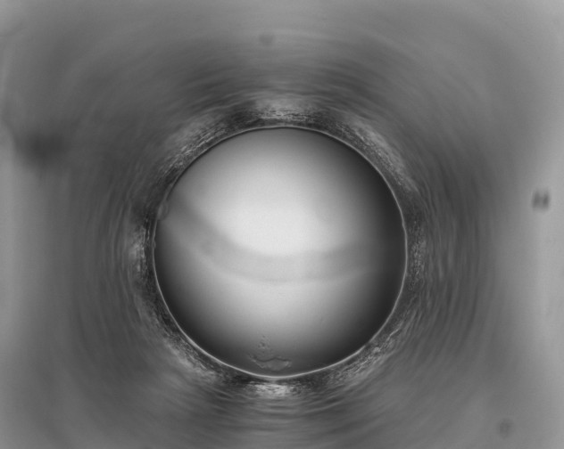 X0000096160265200801251134