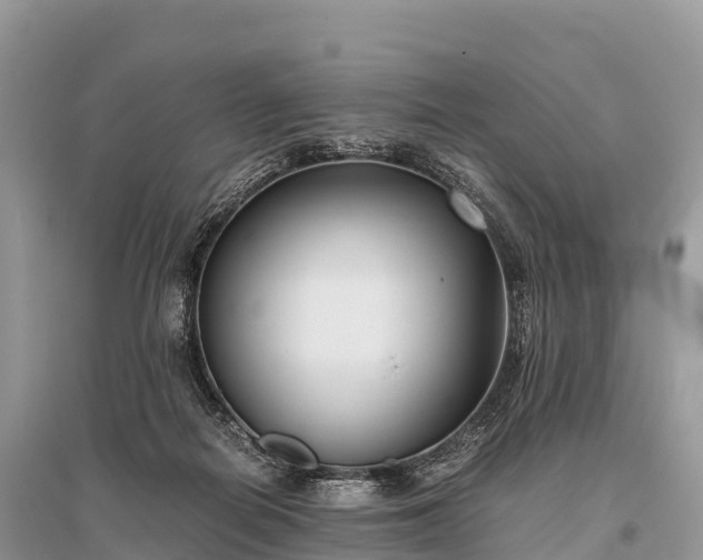 X0000096160266200801251134