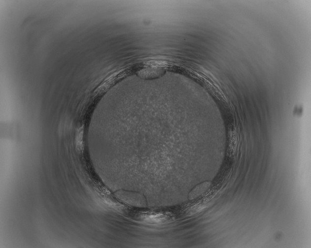 X0000096160267200801251134