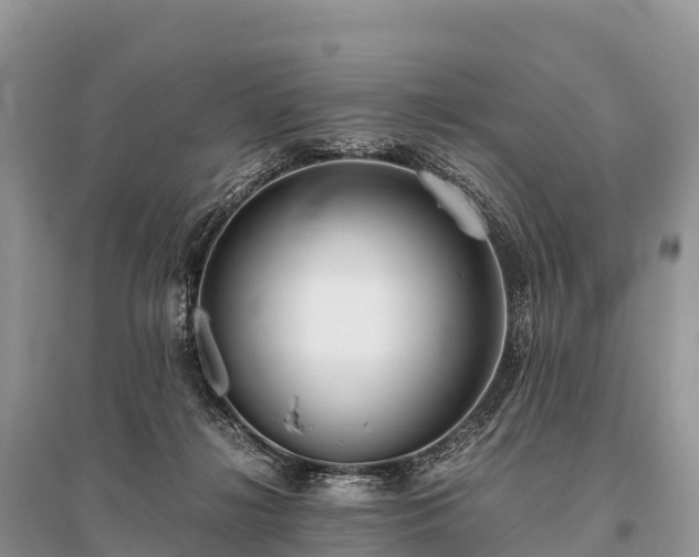 X0000096160268200801251134