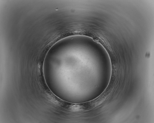 X0000096160269200801251134