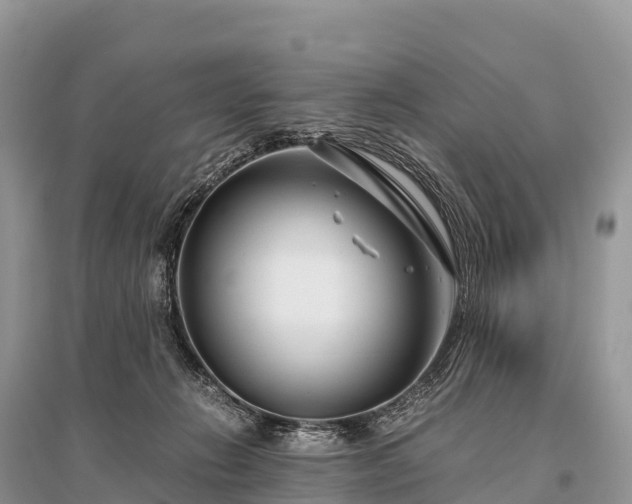 X0000096160270200801251134