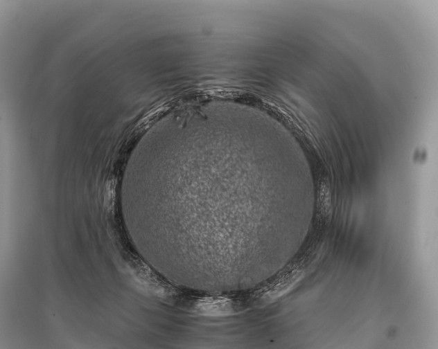 X0000096160271200801251134